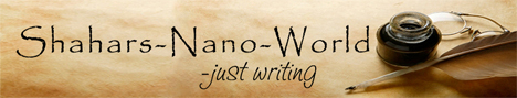 Web-Banner NaNo World